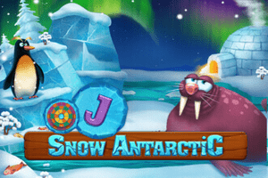 Snow Antarctic